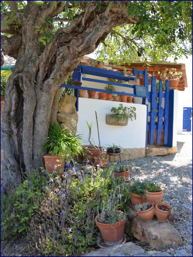 Studio Casa Formosa Ольян Экстерьер фото
